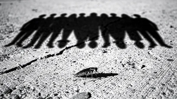 Illustration for How a Cockroach Insult Became a Viral Movement