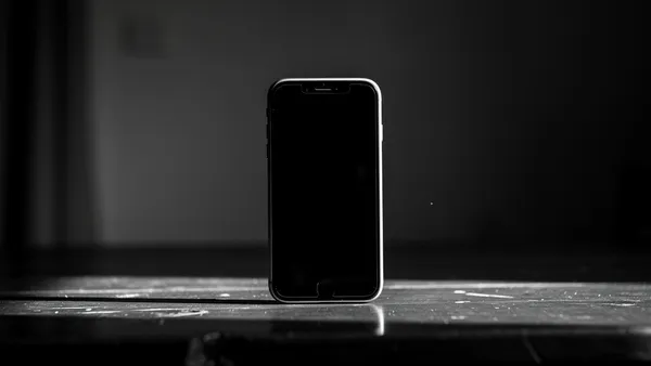 Politicians on TikTok: Smart Strategy or Communication Trap?